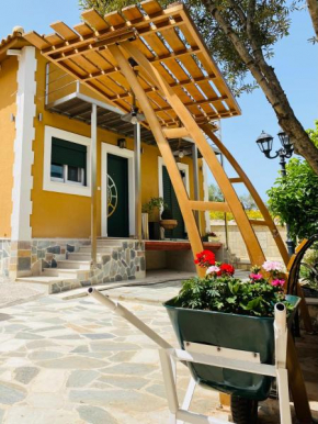 Zamor Family Villa 2